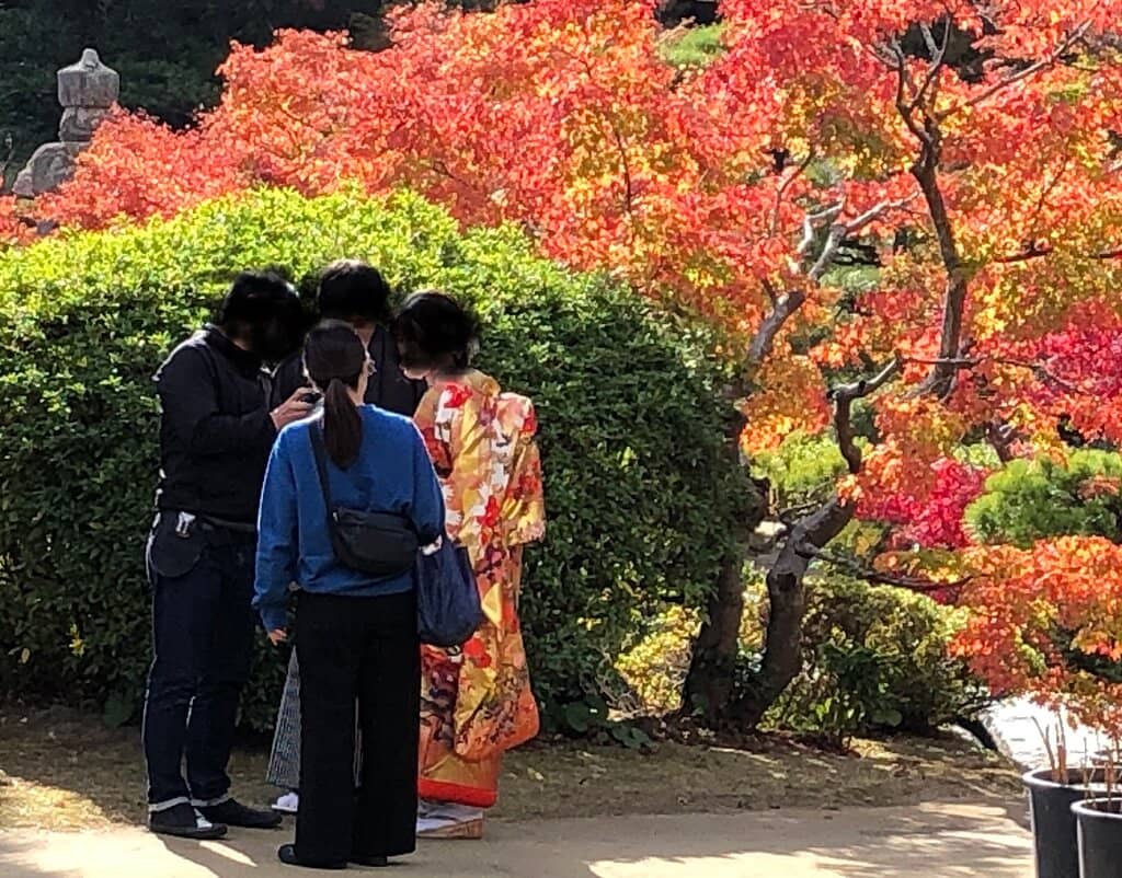 Tranquil Pond and Waterfalls