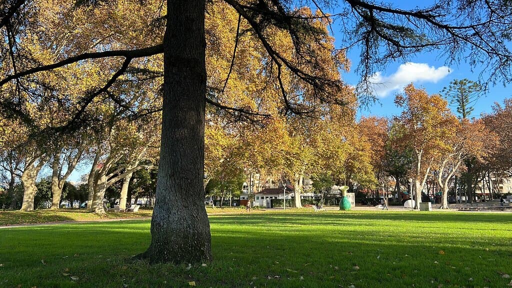 Parque do Bonfim