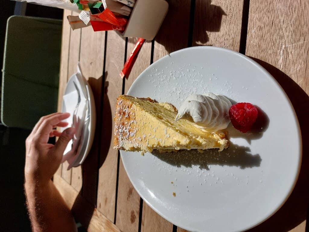 Encounter with Friendly Squirrels