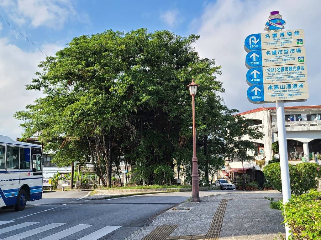 Okinawan Nature Displays