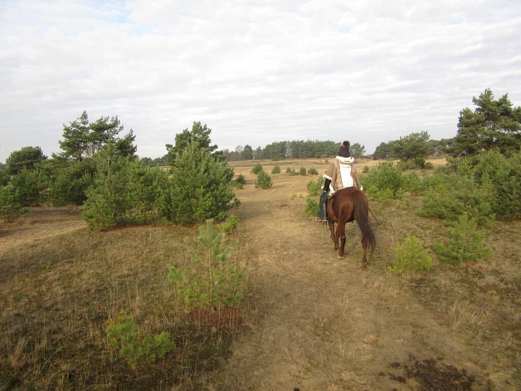 Nature & Picnic Spots