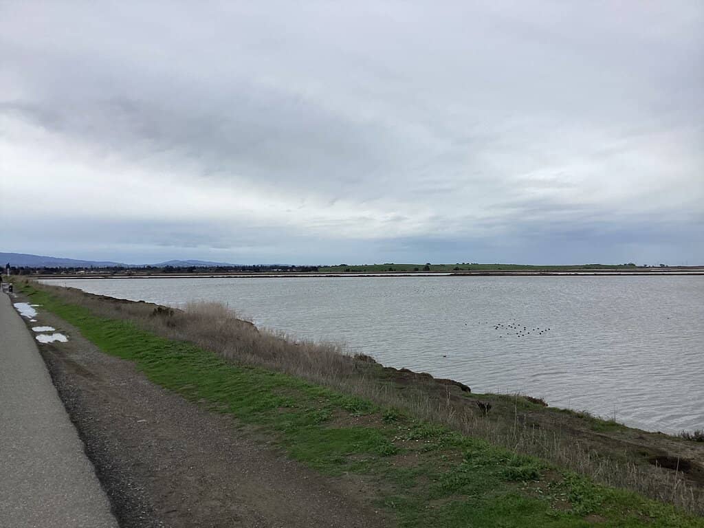 Oakland Estuary Promenade
