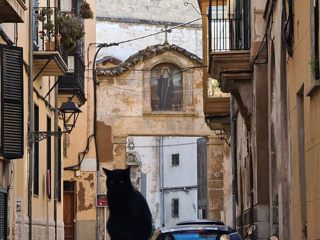 Vertical photo