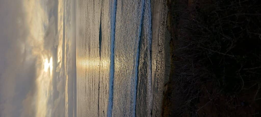 Sandy Shores & Surfing