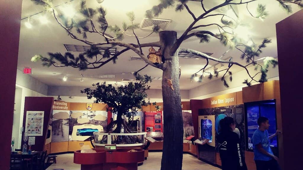 Nature Trails & Boardwalk