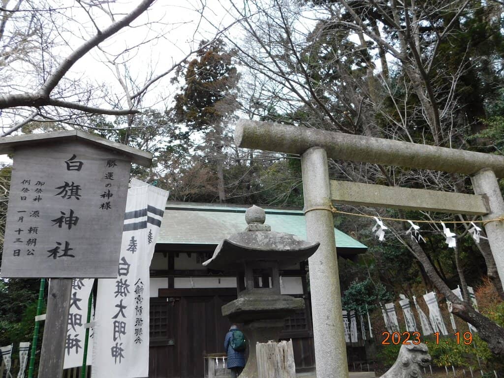 Sacred Forest Setting