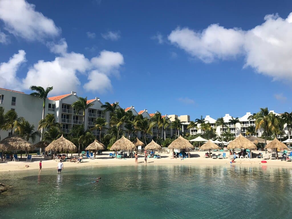 Donkey Sanctuary Aruba