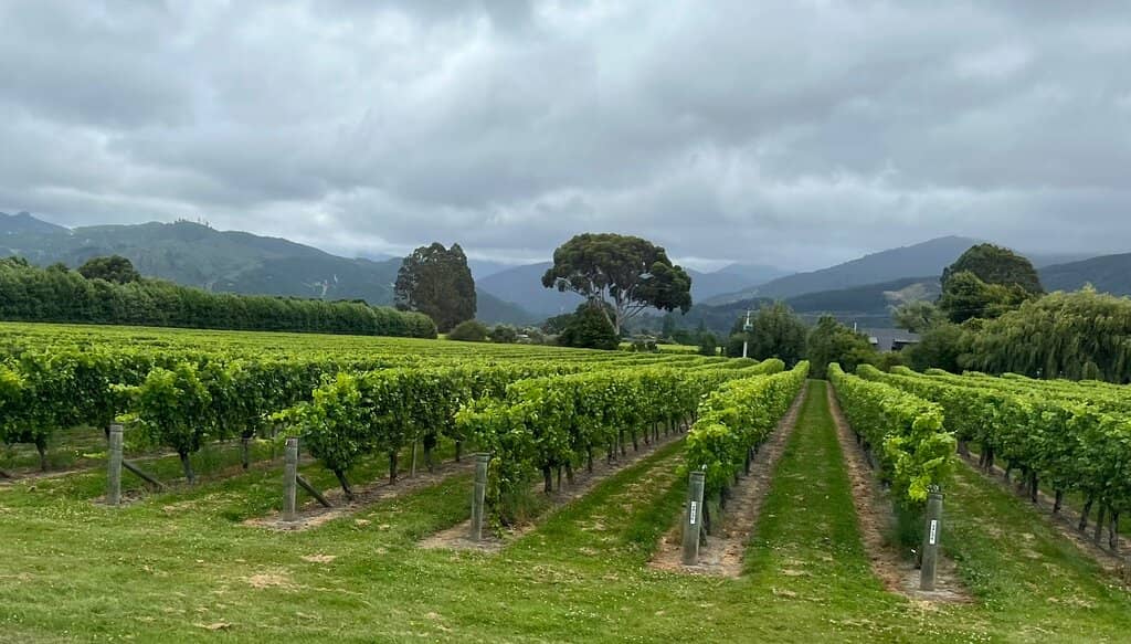 Seafood Odyssea Cruise