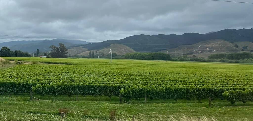 Queen Charlotte Track
