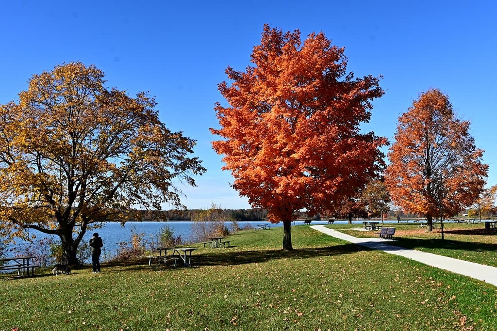 Stony Creek Metropark
