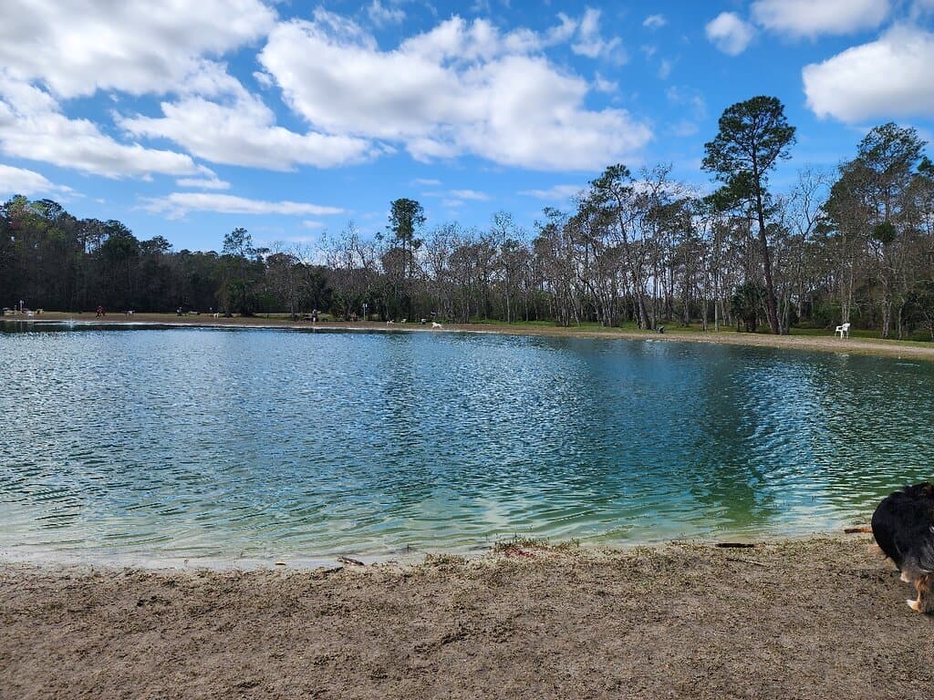 This is absolutely the most beautiful dog park I have ever seen.
