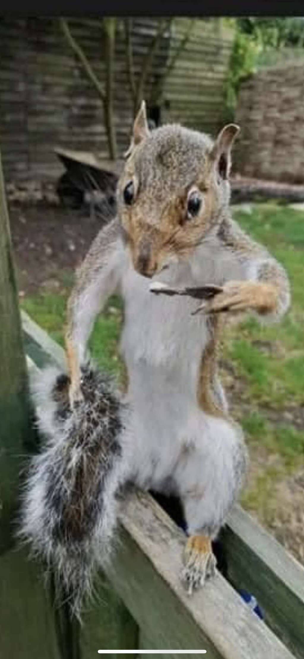Fitness Equipment & Bandstand