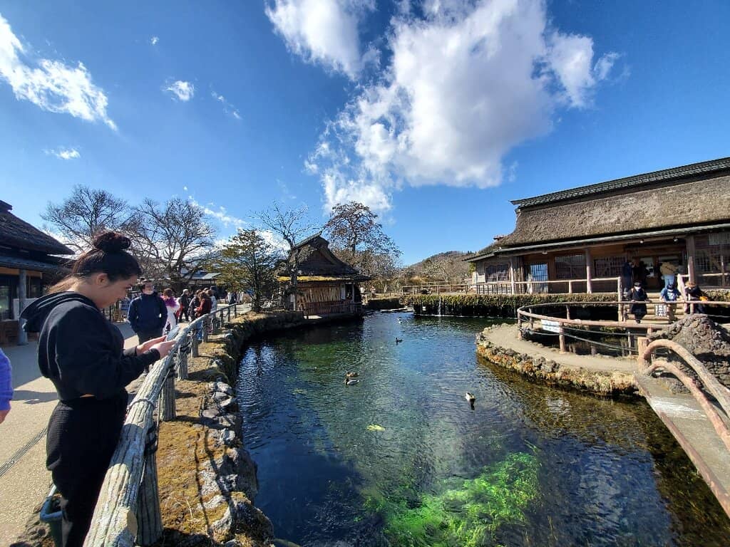Iconic Mt. Fuji Views