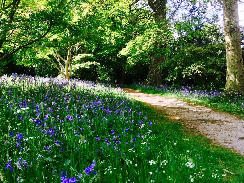 One of the walking paths through the Park