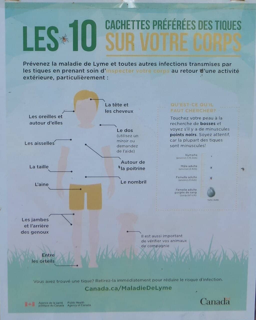 Views of the Landscape