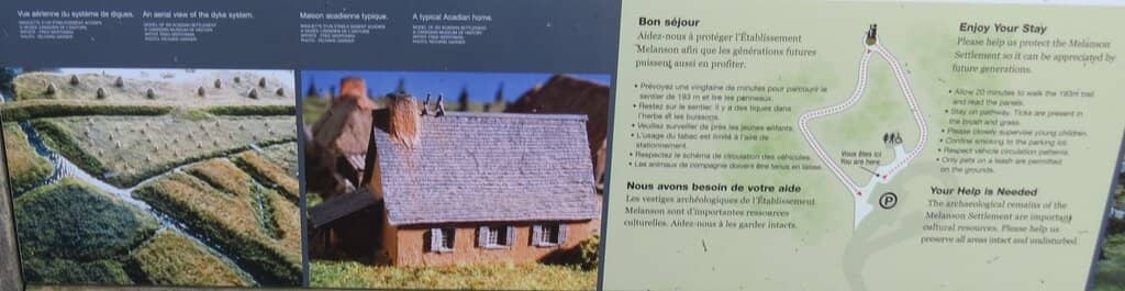 Peaceful Woodland Trail