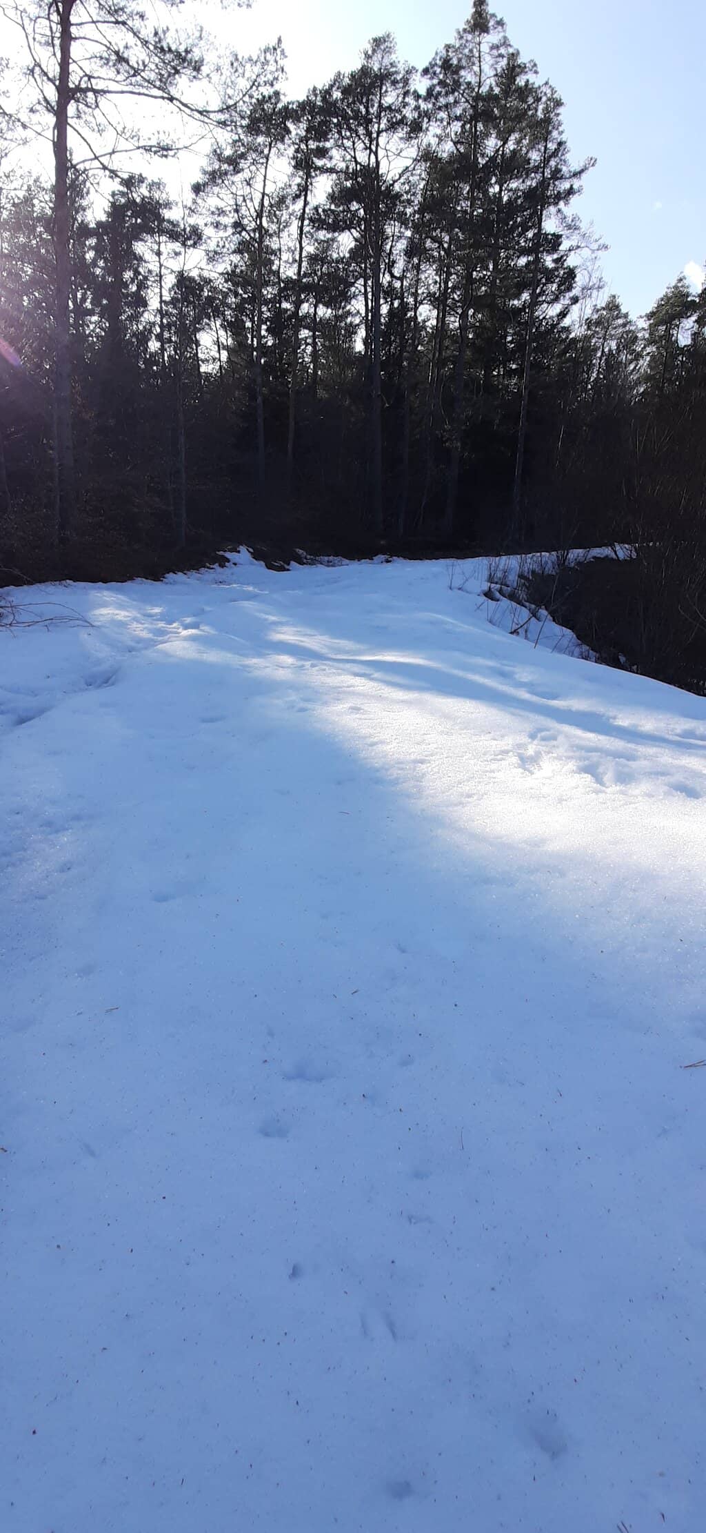 Charming Farm Animals