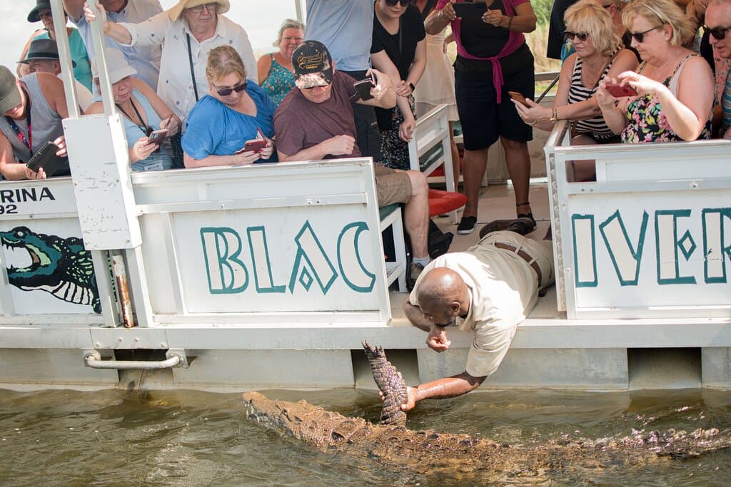 J. Charles Swaby's Black River Safari - Official Listing and Tour