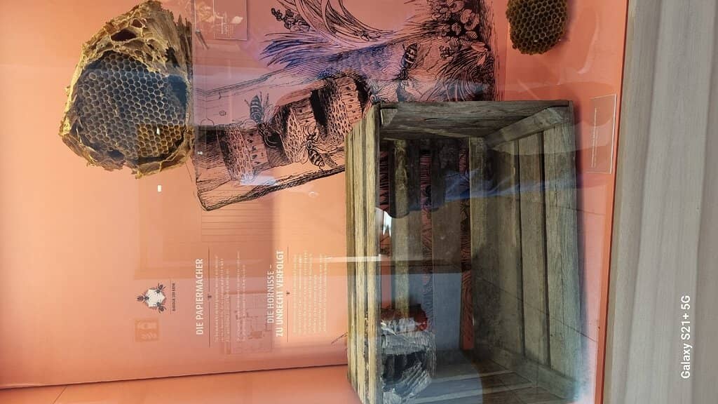 Vöhlin Castle Museum