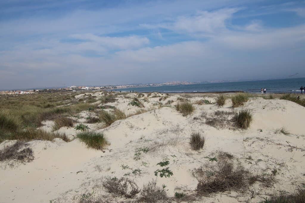 Therapeutic Mud Baths
