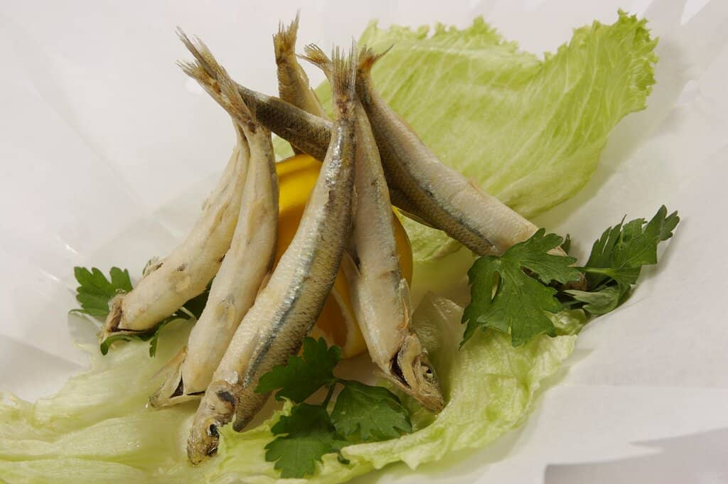 Authentic Turkish Mezze