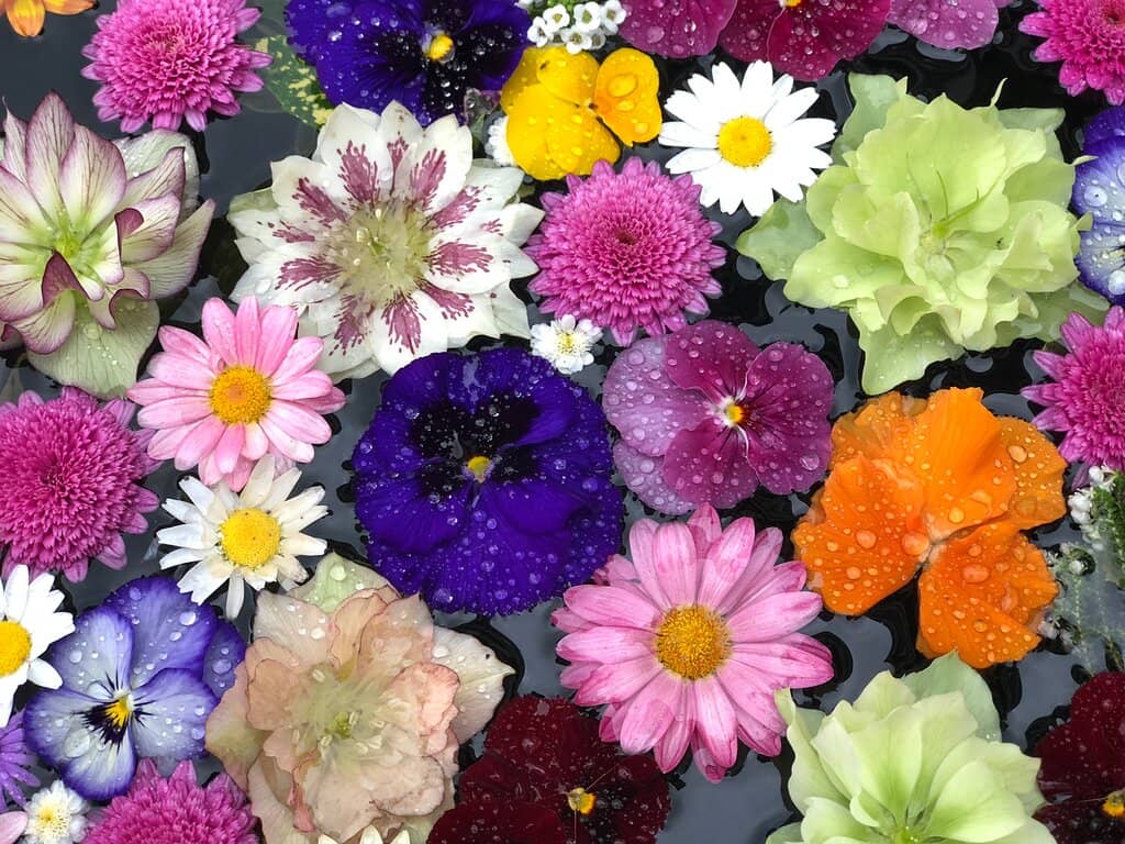 Seasonal Flower Displays