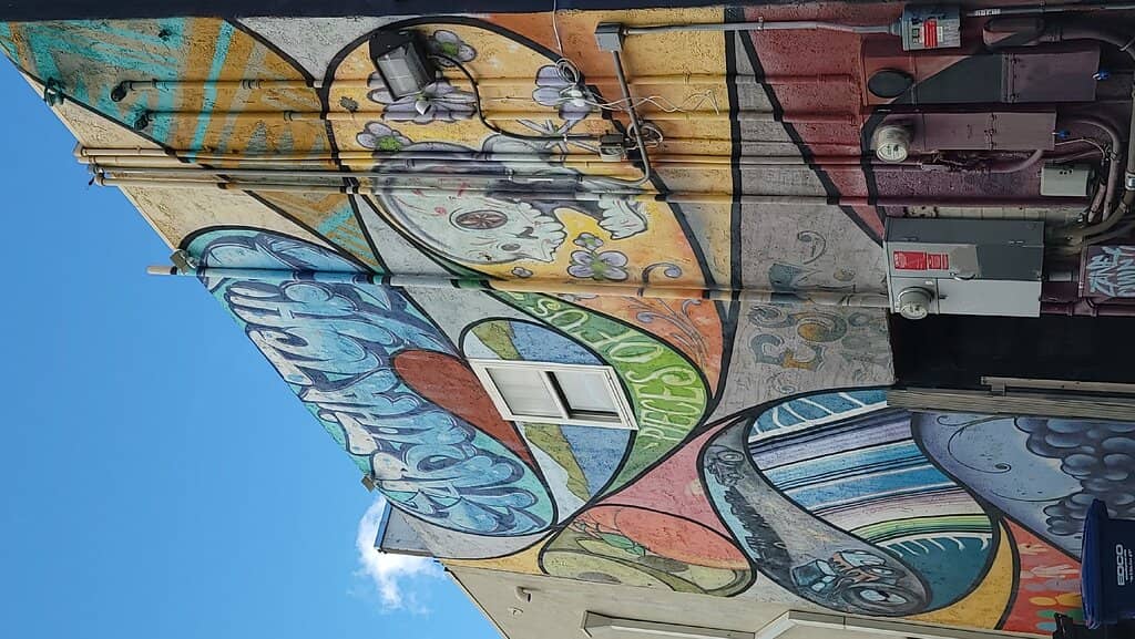 Vibrant Alley Murals