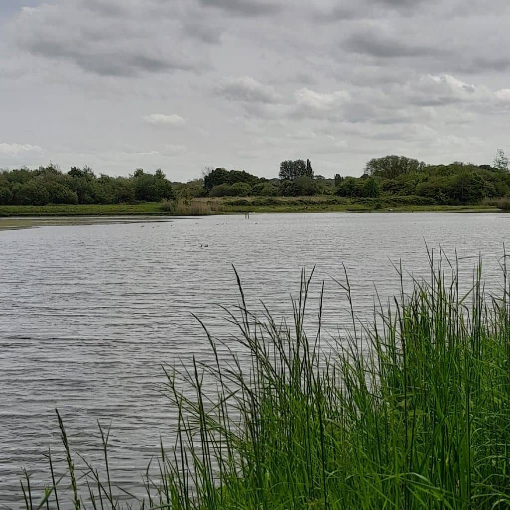 Working Locks and River Views