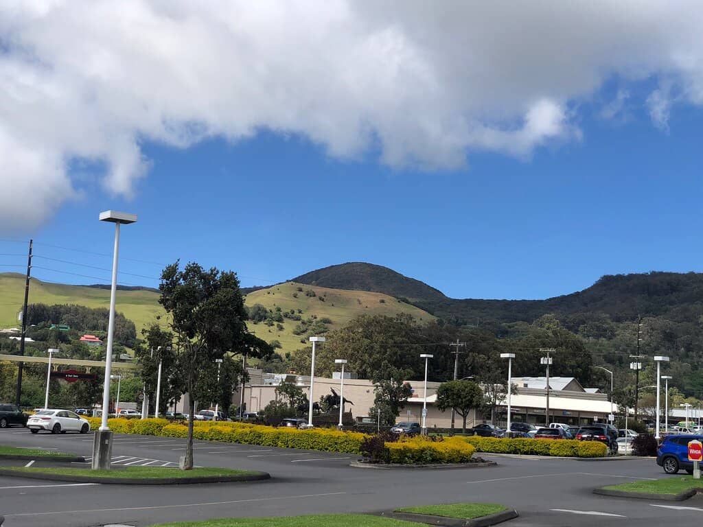 Farm-to-Table Commitment