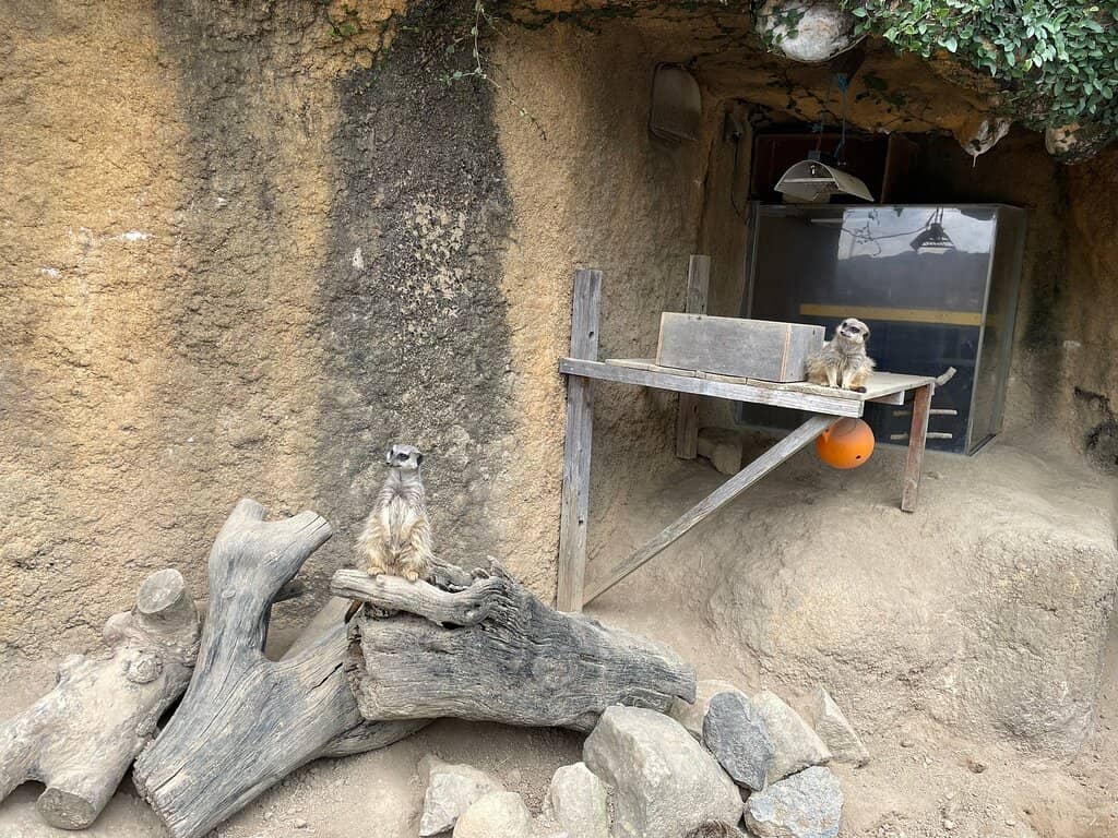 Penguin Exhibit