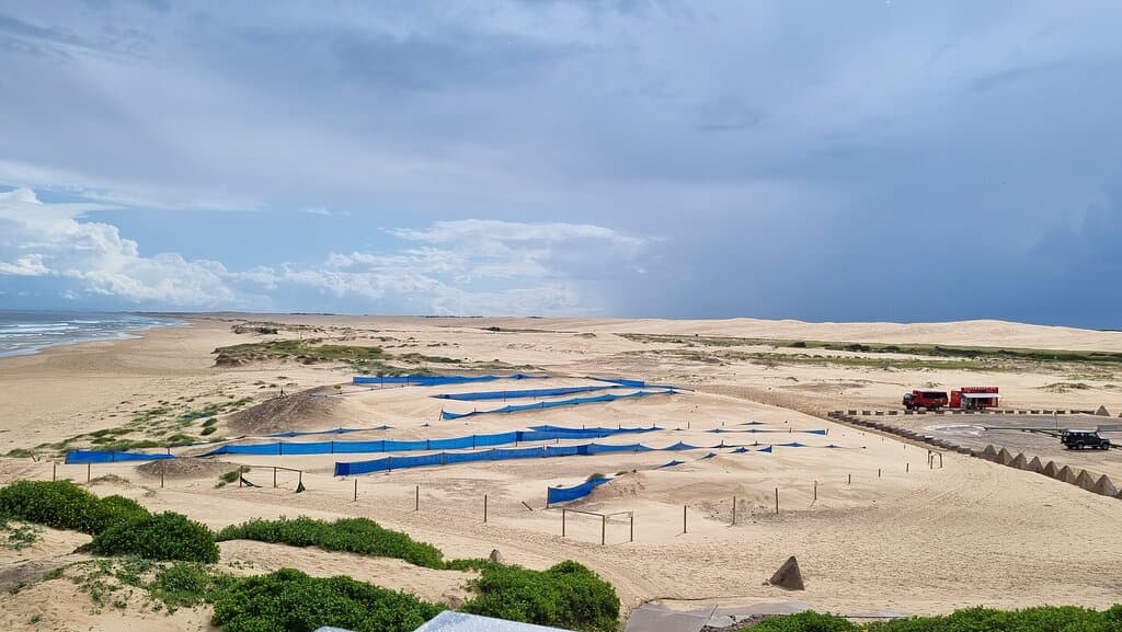 Worimi Conservation Lands Stockton Sand Dunes
