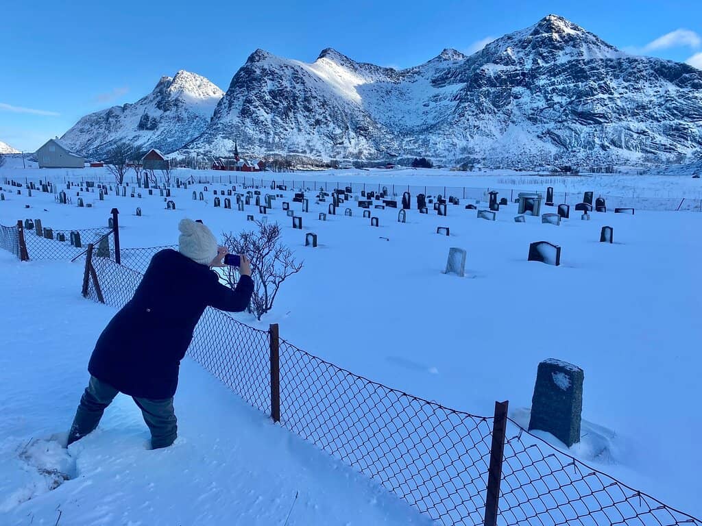 Russian Driftwood History