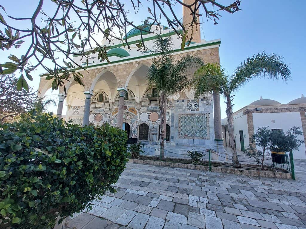 Prophet Muhammad's Beard Hair