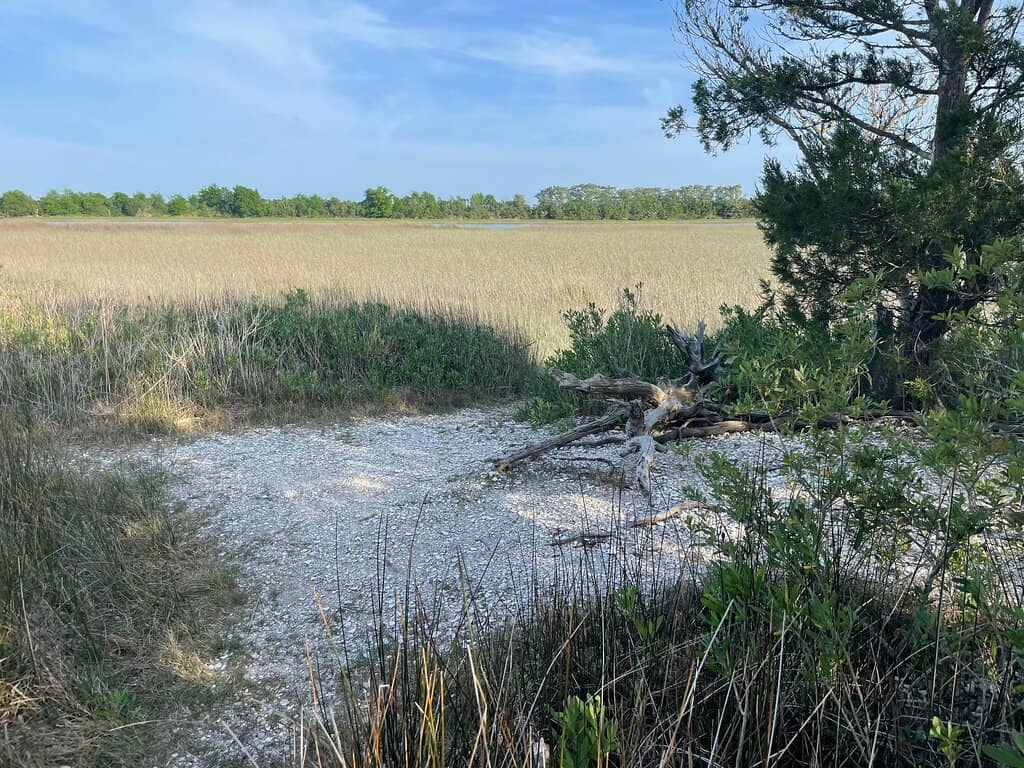 The Ancient Shell Ring