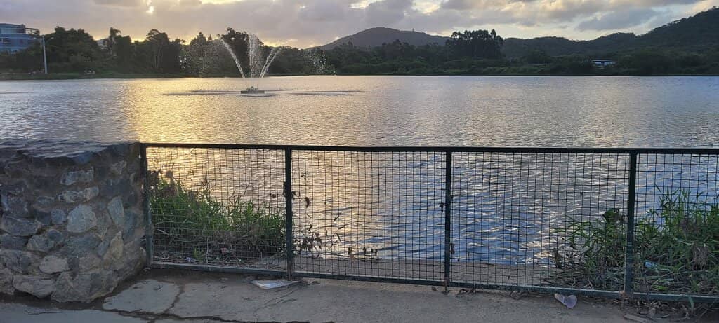 Environmental Initiatives