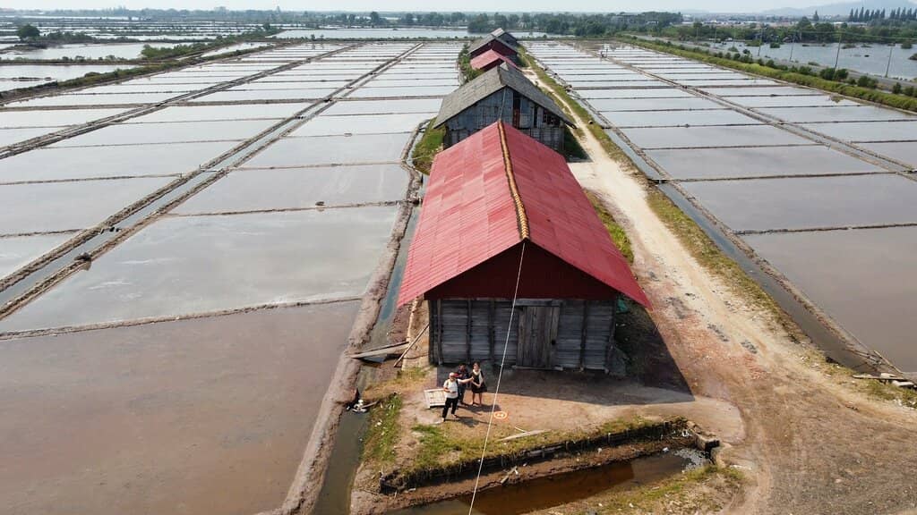 Salt Harvesting Process