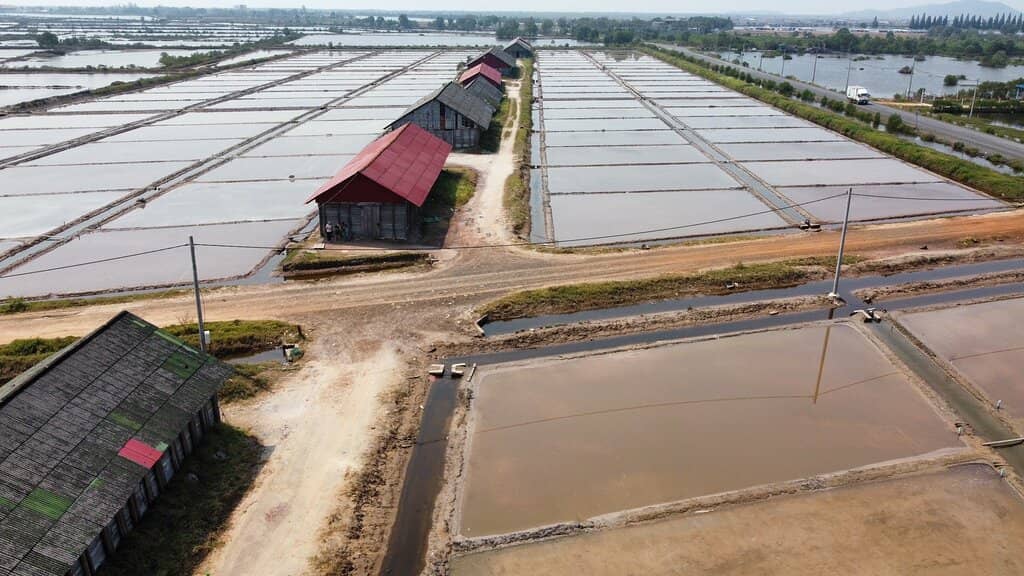 Vast Expanses of Salt Fields
