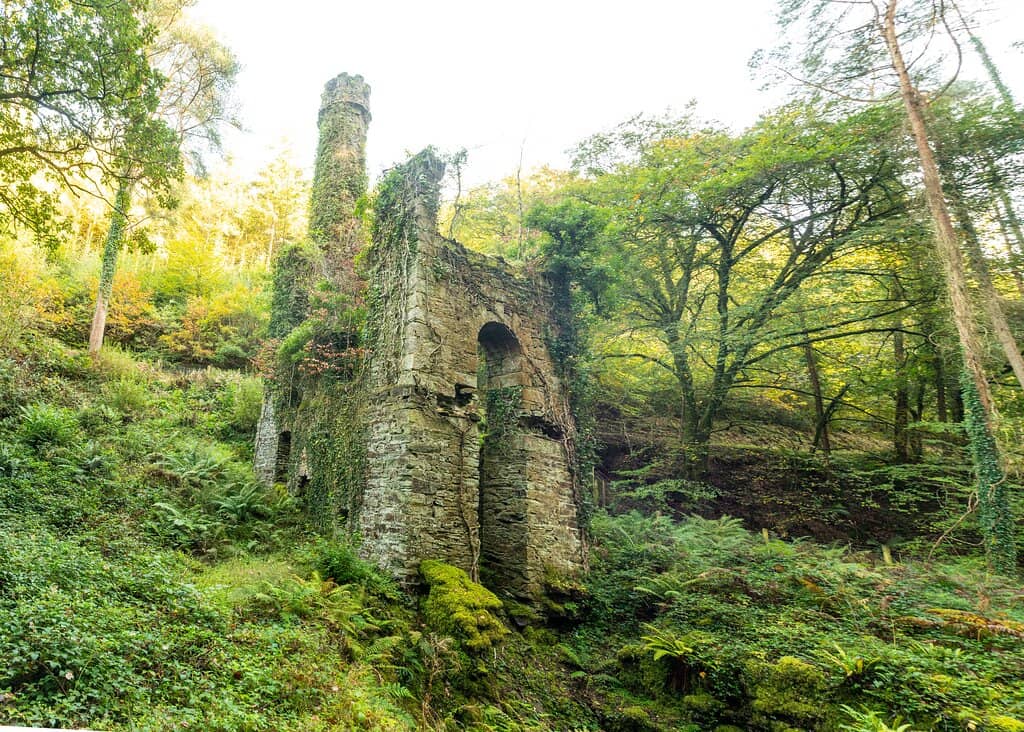 The Gruffalo Trail