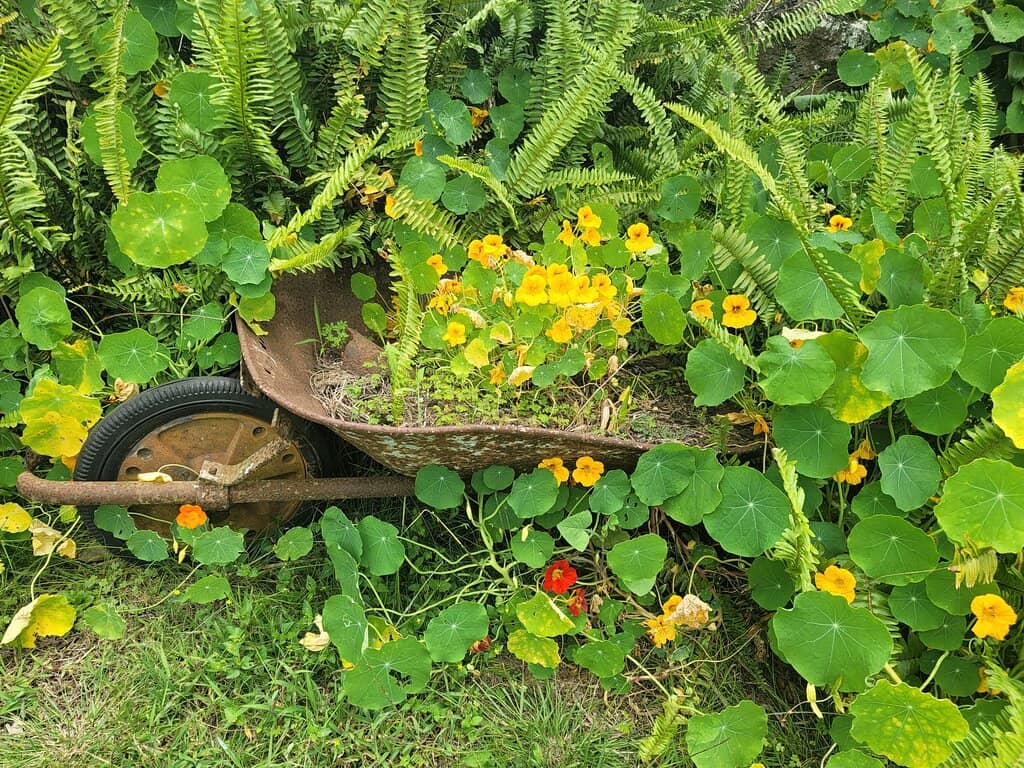 Breathtaking Upcountry Views