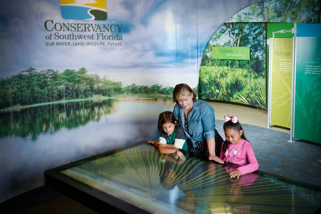 Gordon River Boat Tour