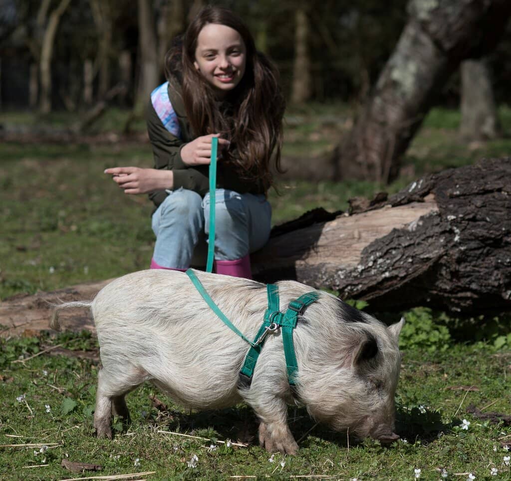 Guided Animal Experiences