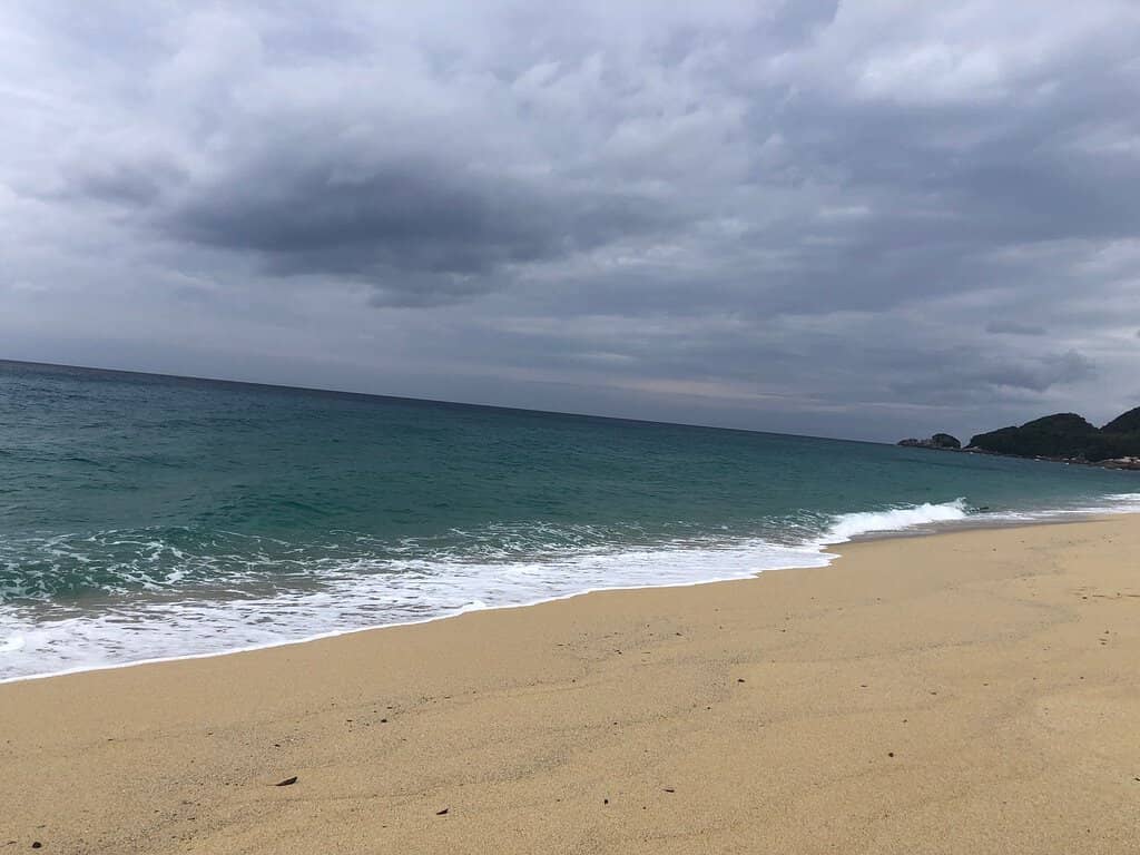 Sea Turtle Nesting Grounds