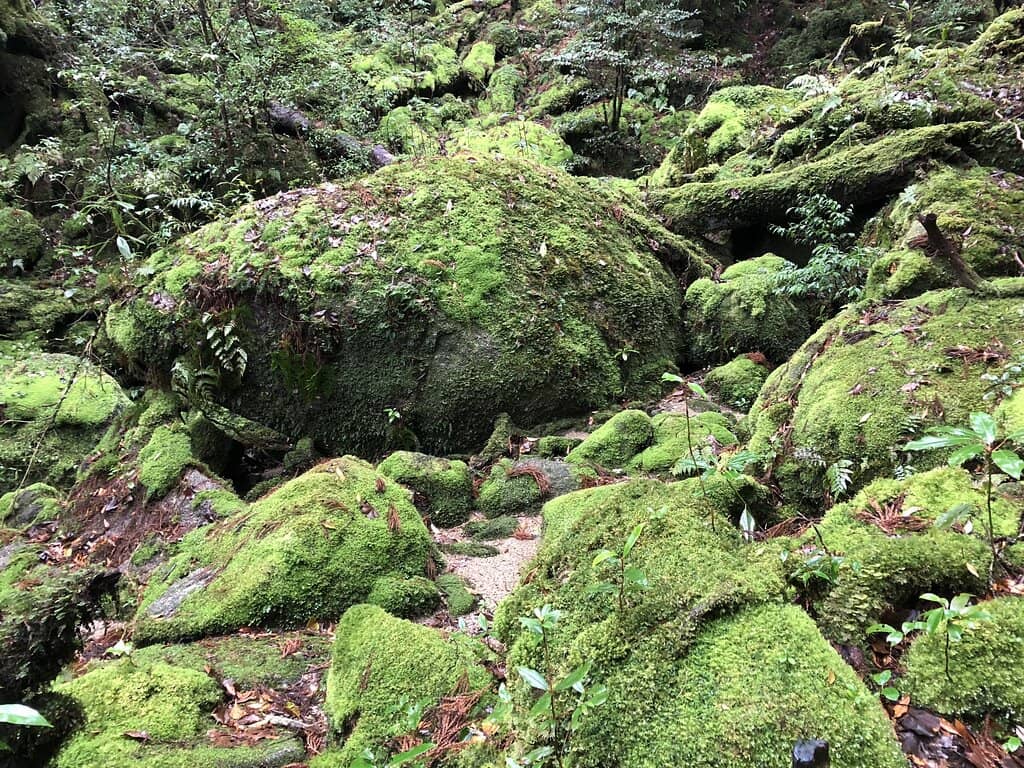 The Iconic Granite Rock