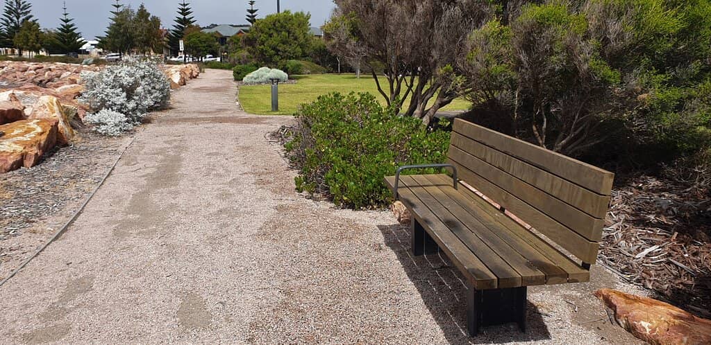 Mini Diesel Train Adventure