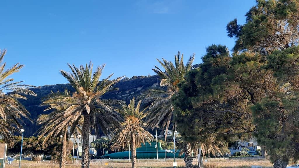 Water Sports Hub