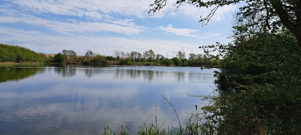 Cowpen Bewley Woodland Park