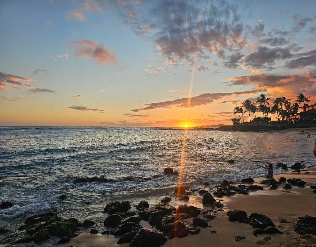 Sea Turtle Haven