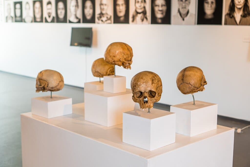 Museo Arqueológico Fuerteventura
