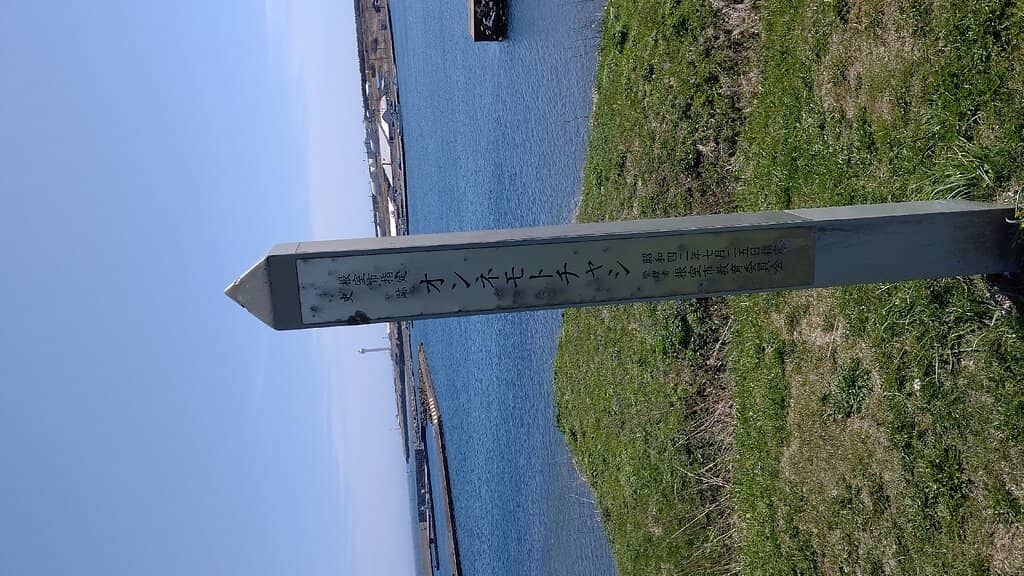 Vertical photo