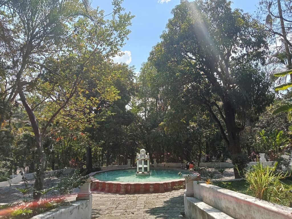 Diverse Plant Collection